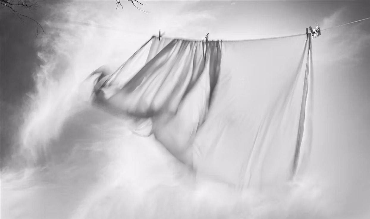 2nd: Blowing in the Wind - Sue Shreeves